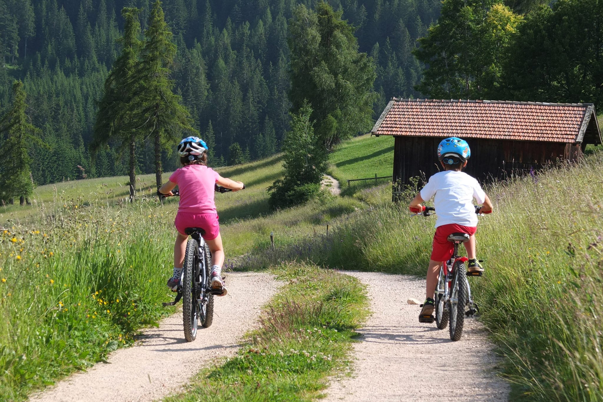 Radfahren und Mountainbiken – Bild 2