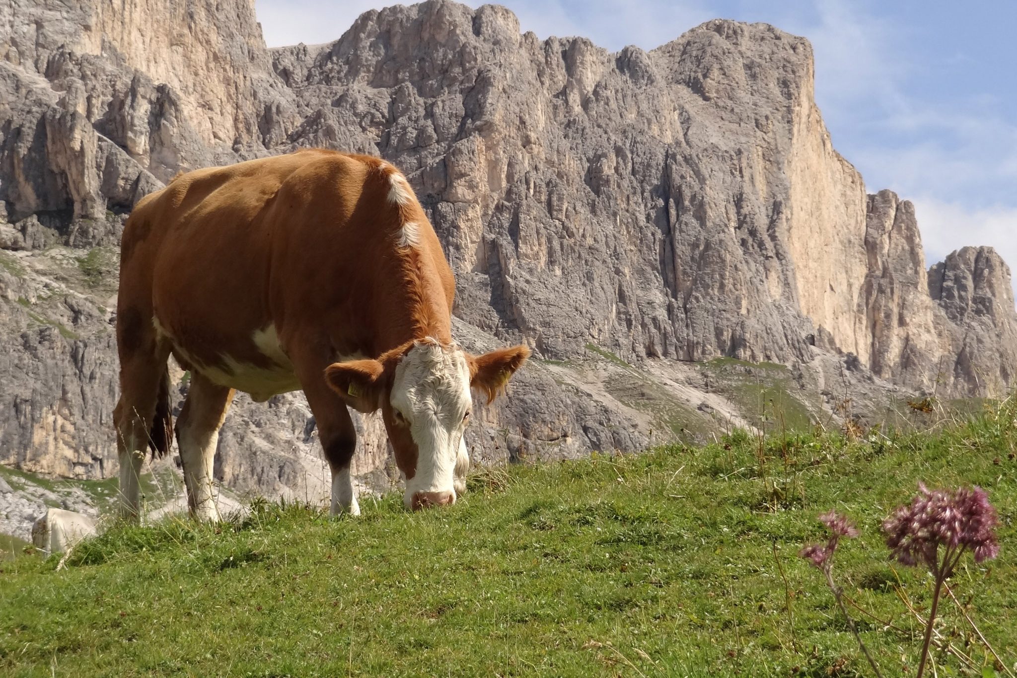 Wandern und Natur – Bild 1