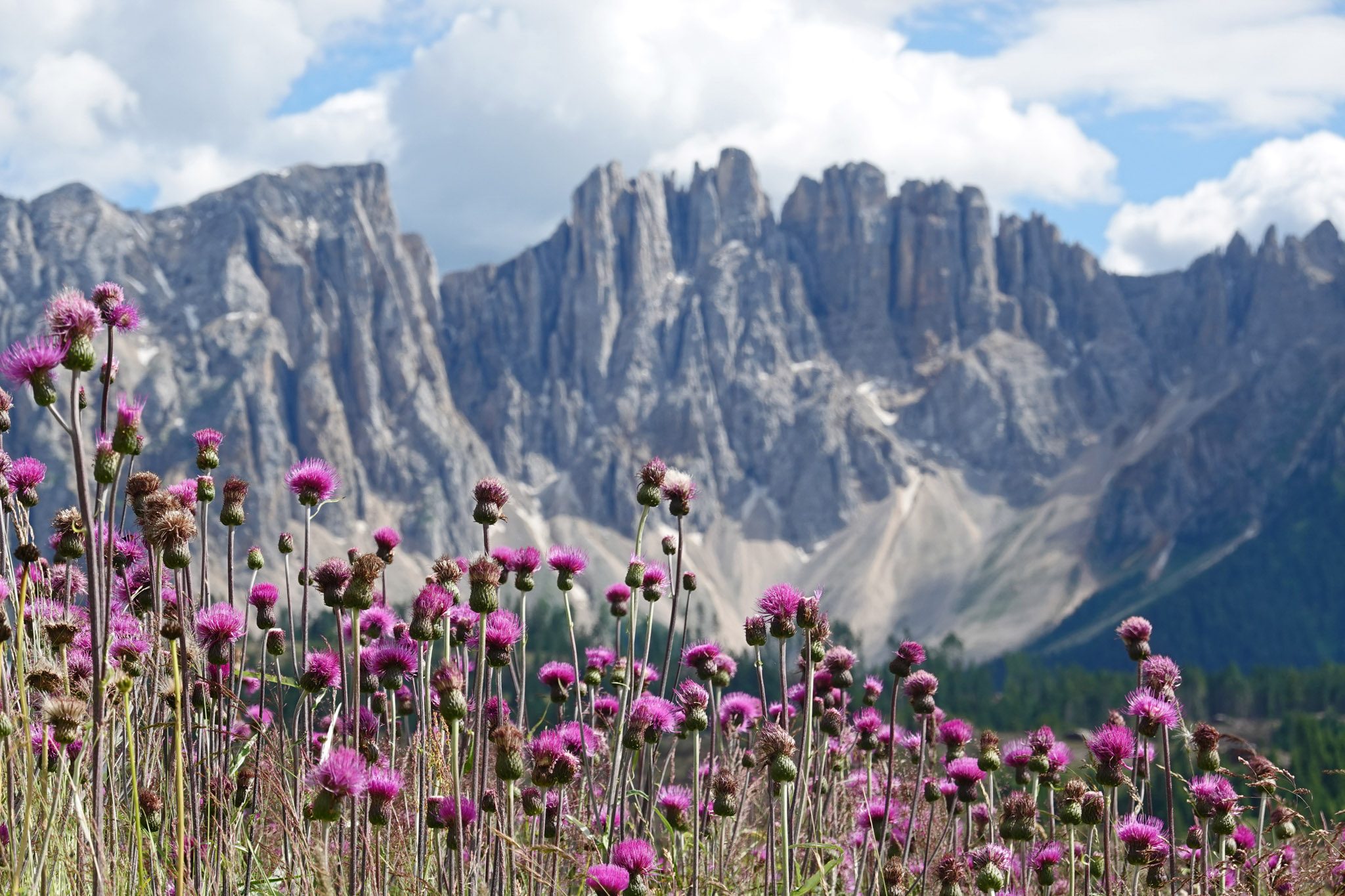 Wandern und Natur – Bild 9