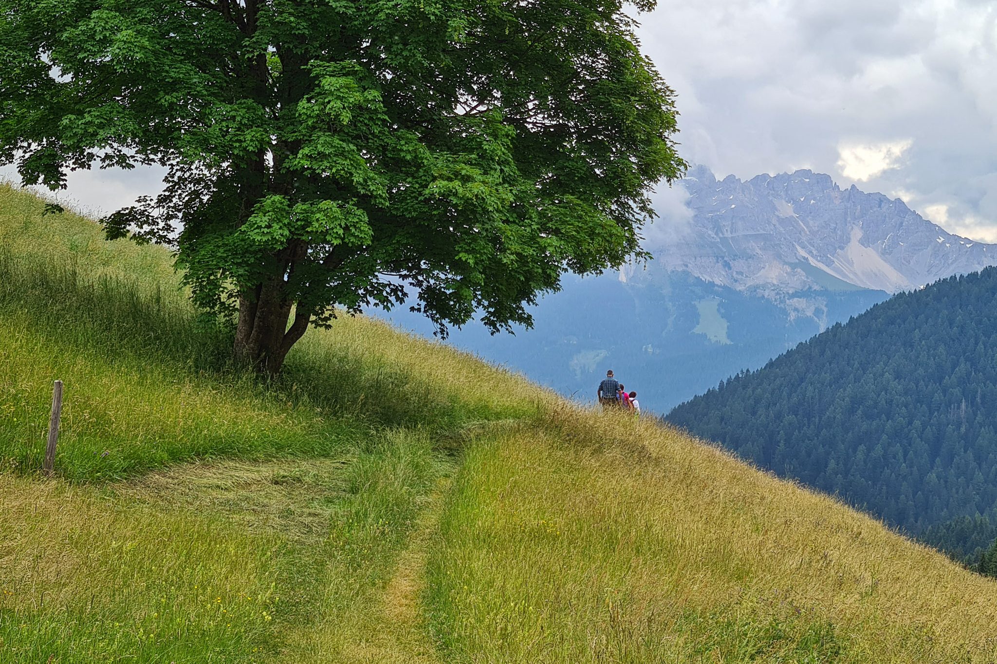 Wandern und Natur – Bild 10