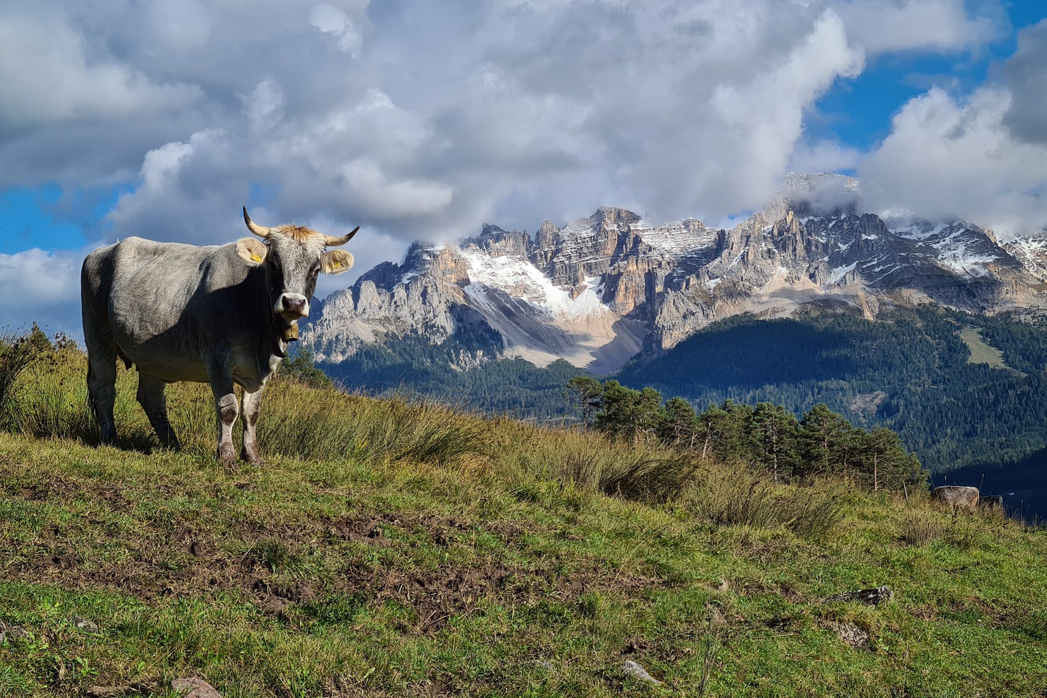 Wandern und Natur – Bild 11