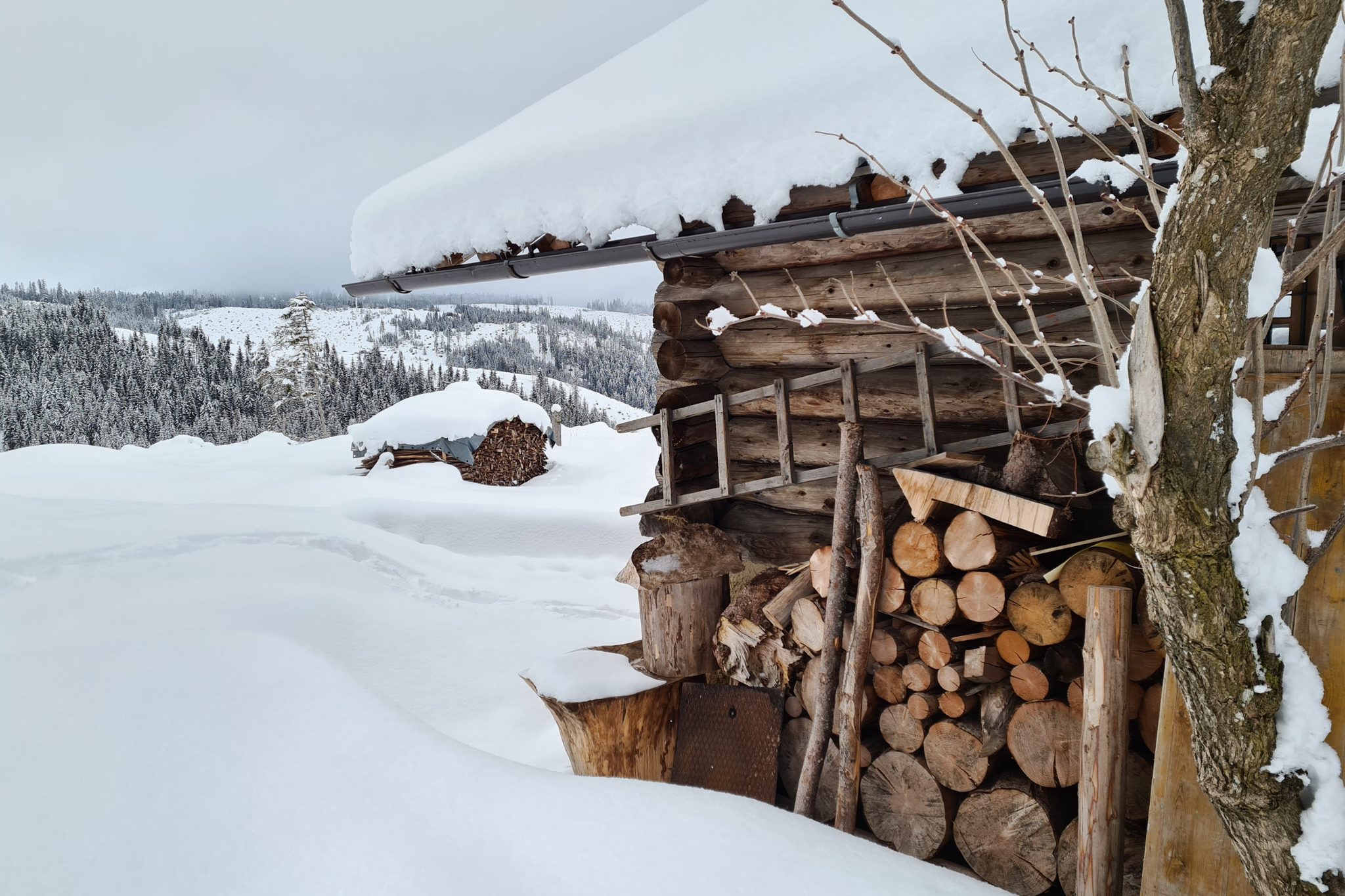 Winterurlaub in Südtirol – Bild 3
